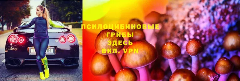 Галлюциногенные грибы MAGIC MUSHROOMS  Боготол 